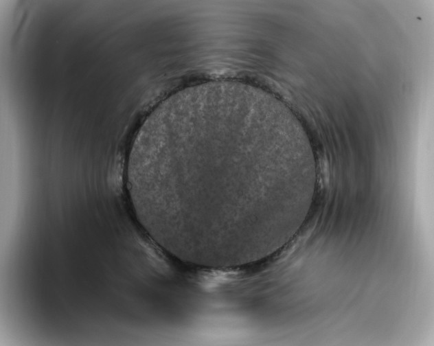 X0000094780664200711301547