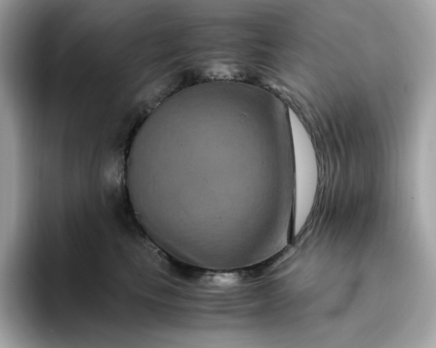X0000094780665200711301547