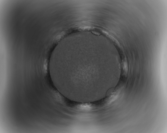 X0000094780668200711301547