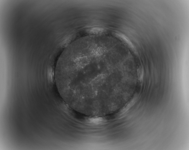 X0000094780669200711301547