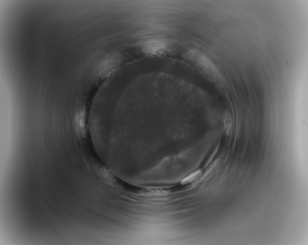 X0000094780670200711301547