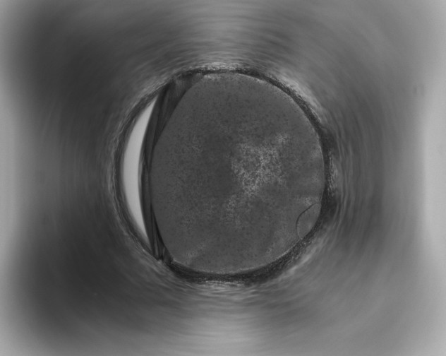 X0000094780681200711301546
