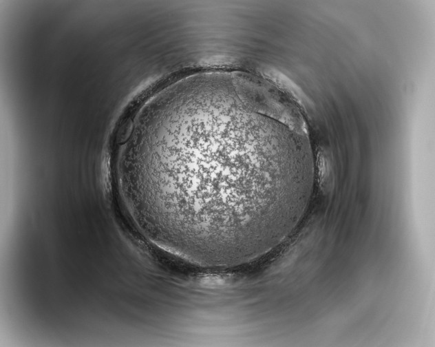 X0000094780684200711301546
