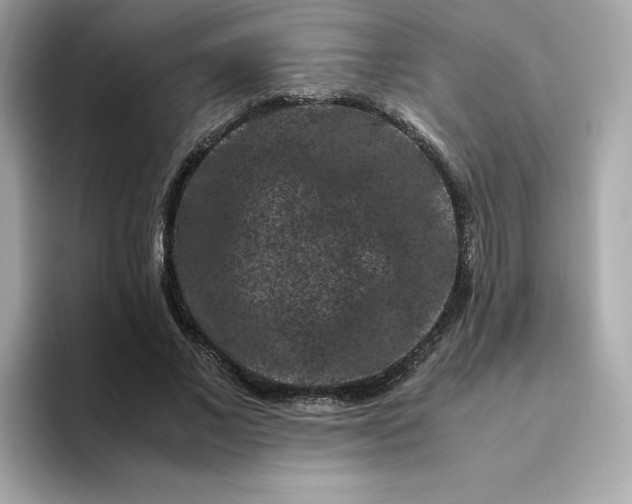 X0000094780685200711301546