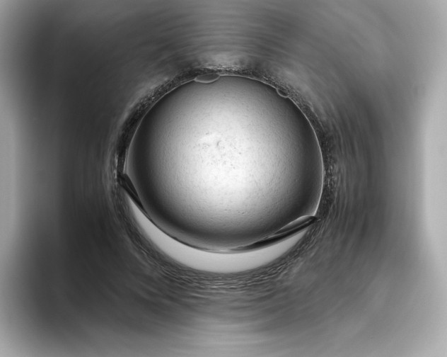 X0000094780688200711301546