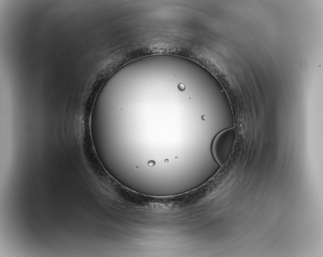 X0000094780690200711301546
