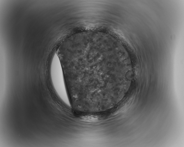 X0000094780691200711301546