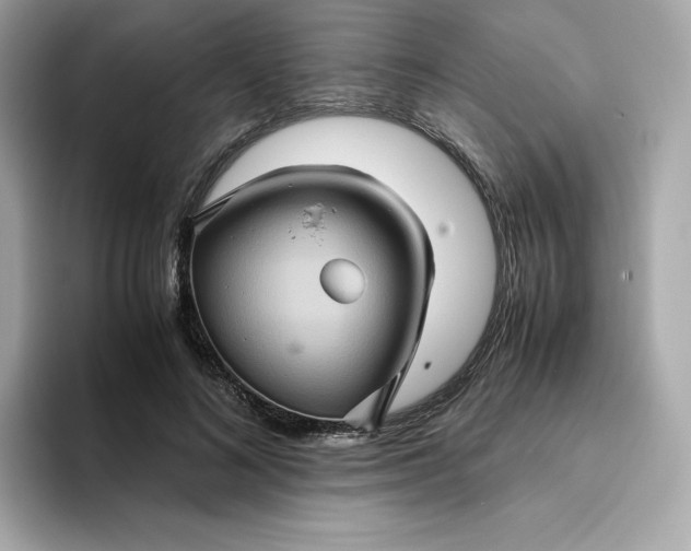 X0000094780692200711301546