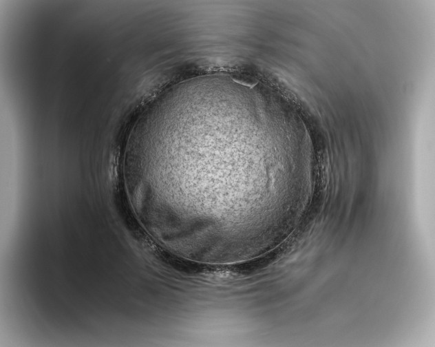X0000094780695200711301546