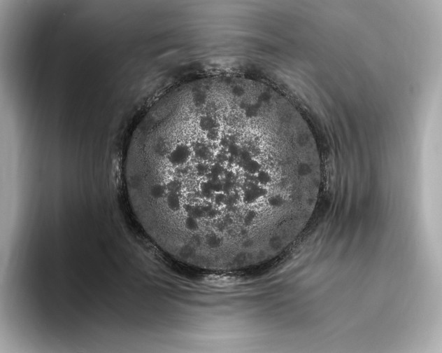 X0000094780699200711301546