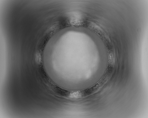 X0000094780705200711301546