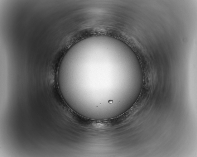 X0000094780706200711301546