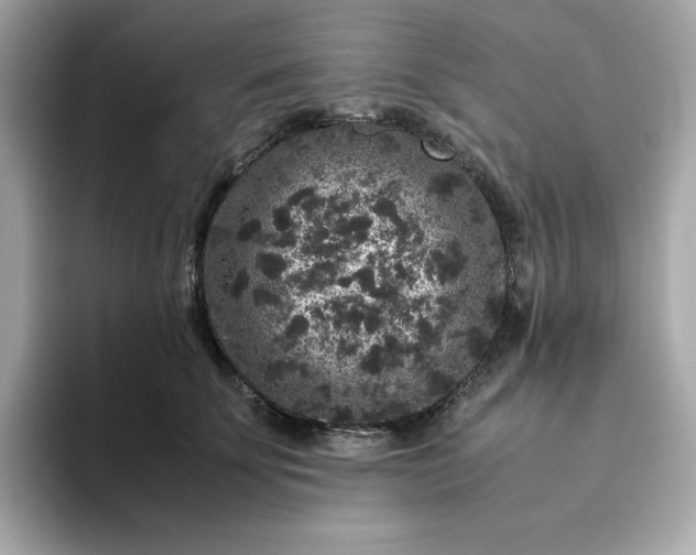 X0000094780707200711301546