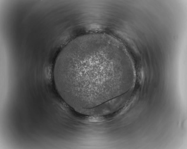 X0000094780708200711301546