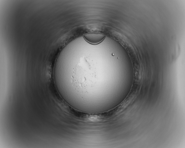 X0000094780710200711301546