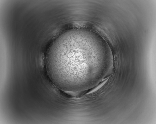X0000094780712200711301546