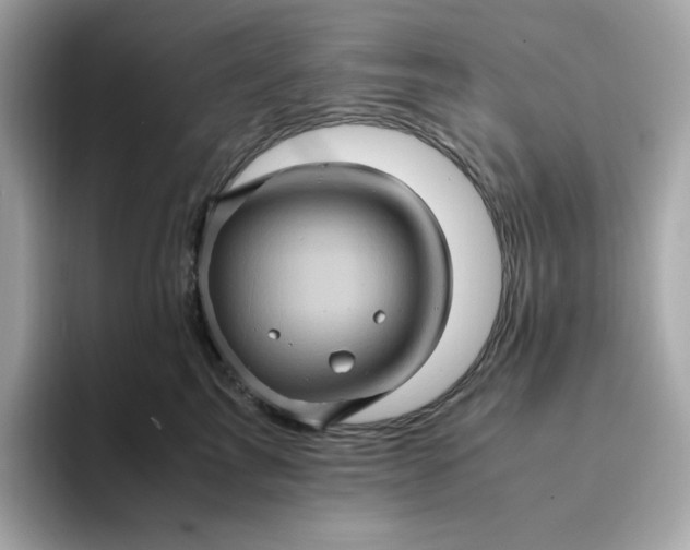 X0000094780713200711301546