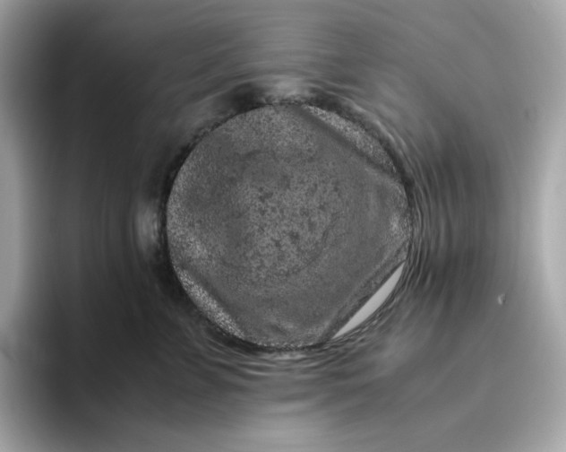 X0000094780715200711301546