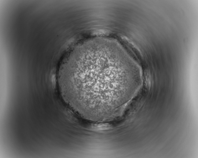 X0000094780716200711301546