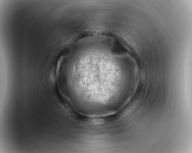 X0000094780719200711301546