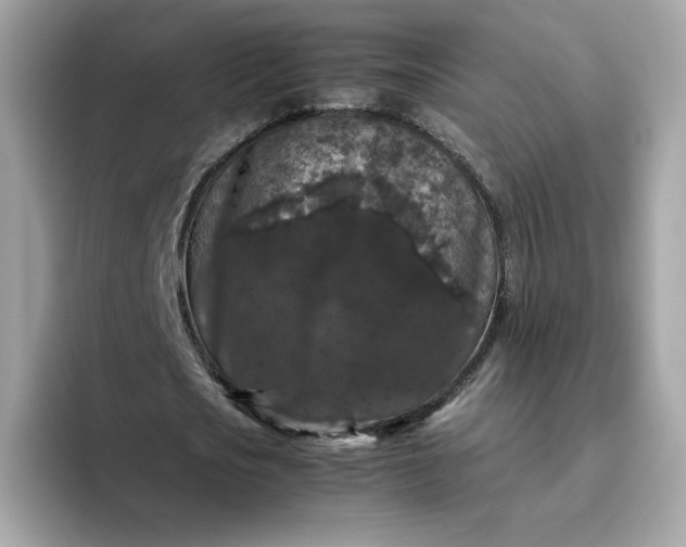 X0000094780721200711301545