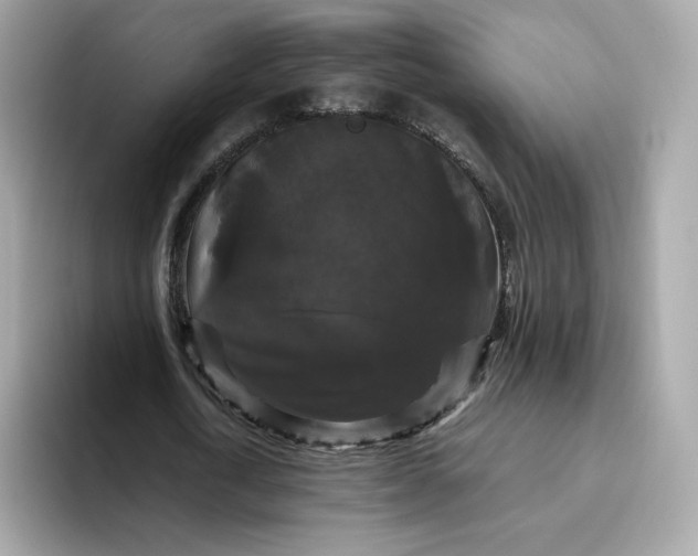 X0000094780722200711301545