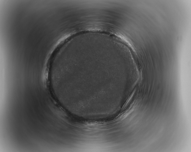 X0000094780723200711301545