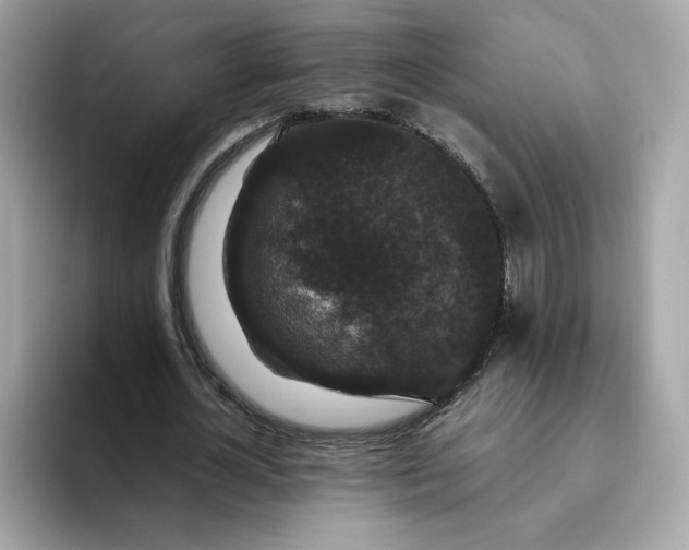 X0000094780724200711301545