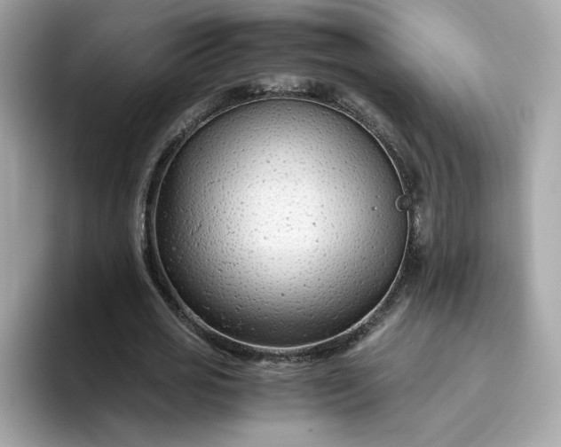 X0000094780725200711301545