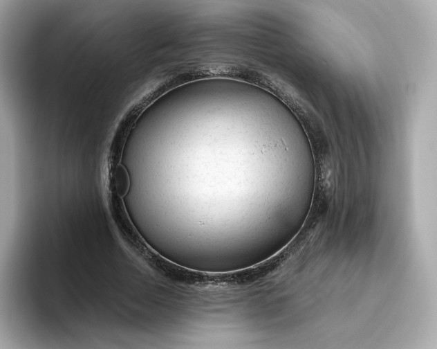 X0000094780730200711301545