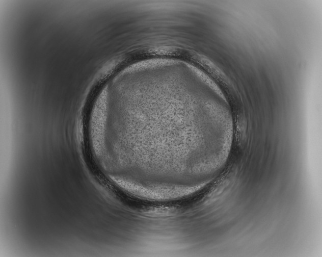 X0000094780734200711301546