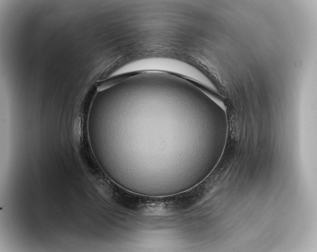 X0000094780740200711301546