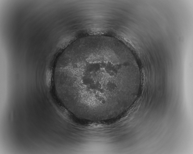 X0000094780742200711301546