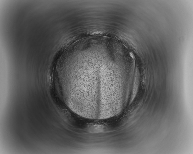 X0000094780743200711301546
