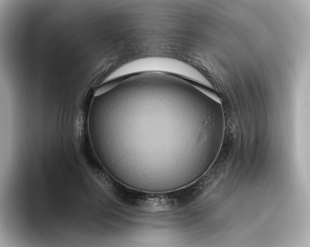 X0000094780744200711301546