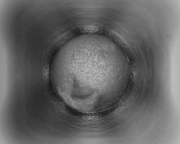 X0000094780745200711301546