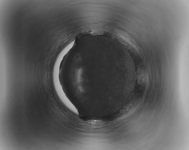 X0000094780748200711301546