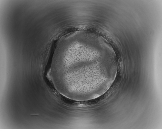 X0000094780750200711301546