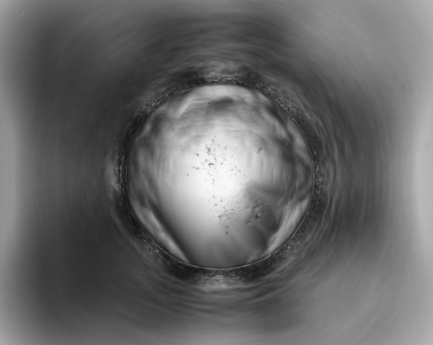 X0000094780755200711301546