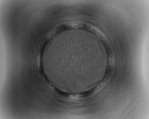 X0000094780757200711301546