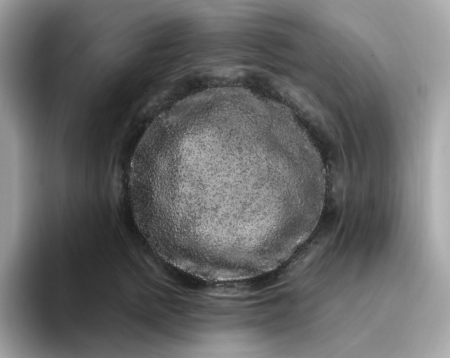 X0000094780758200711301546