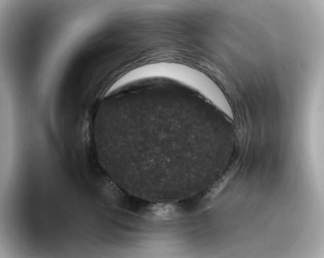 X0000094780762200711301546