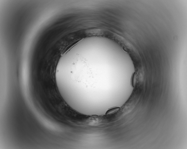 X0000094780764200711301546