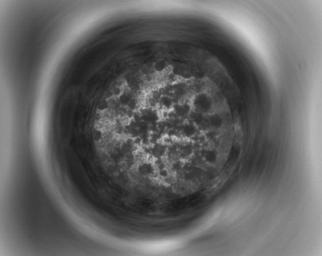 X0000094780765200711301546