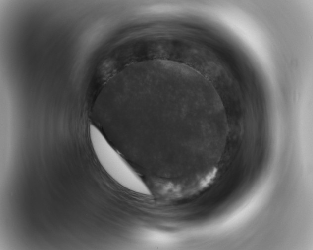 X0000094780766200711301546