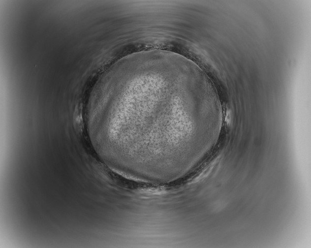 X0000094780771200711301545