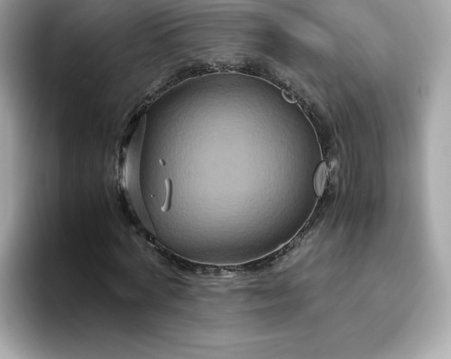 X0000094780772200711301545