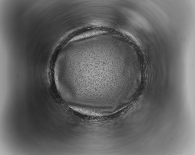 X0000094780776200711301545