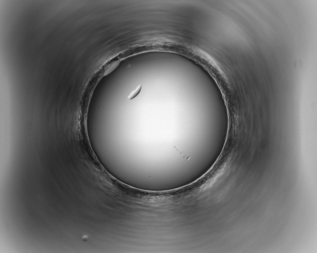 X0000094780778200711301545