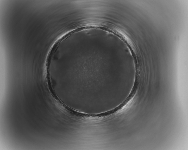 X0000094780779200711301545